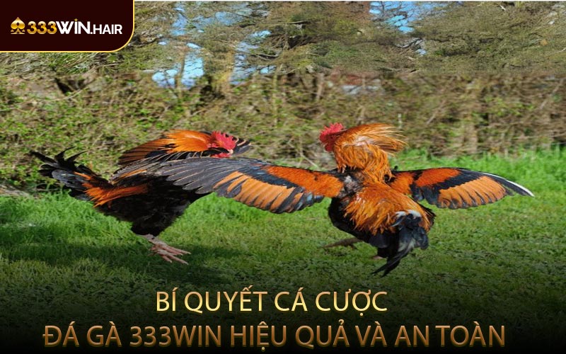 Bí Quyết Cá Cược Đá Gà 333WIN Hiệu Quả Và An Toàn