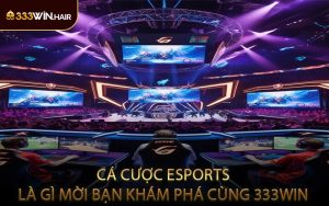 Cá Cược Esports Là Gì Mời Bạn Khám Phá Cùng 333WIN
