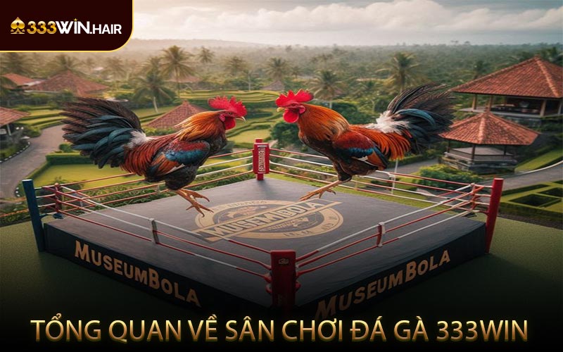Tổng Quan Về Sân Chơi Đá Gà 333WIN