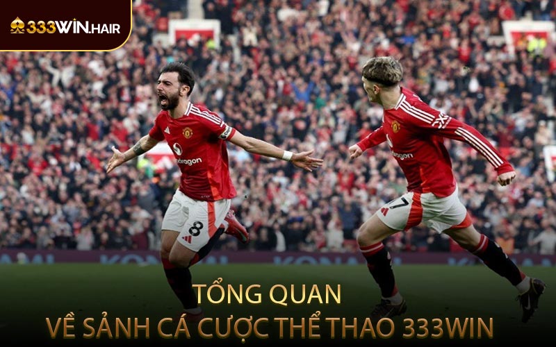 Tổng Quan Về Sảnh Cá Cược Thể Thao 333WIN